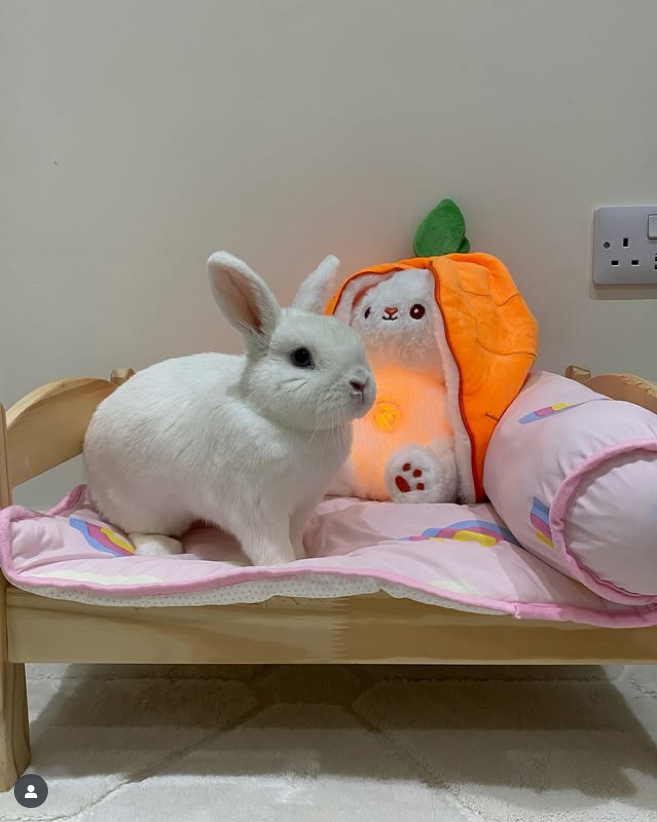 Milk Carrot breathng Plush