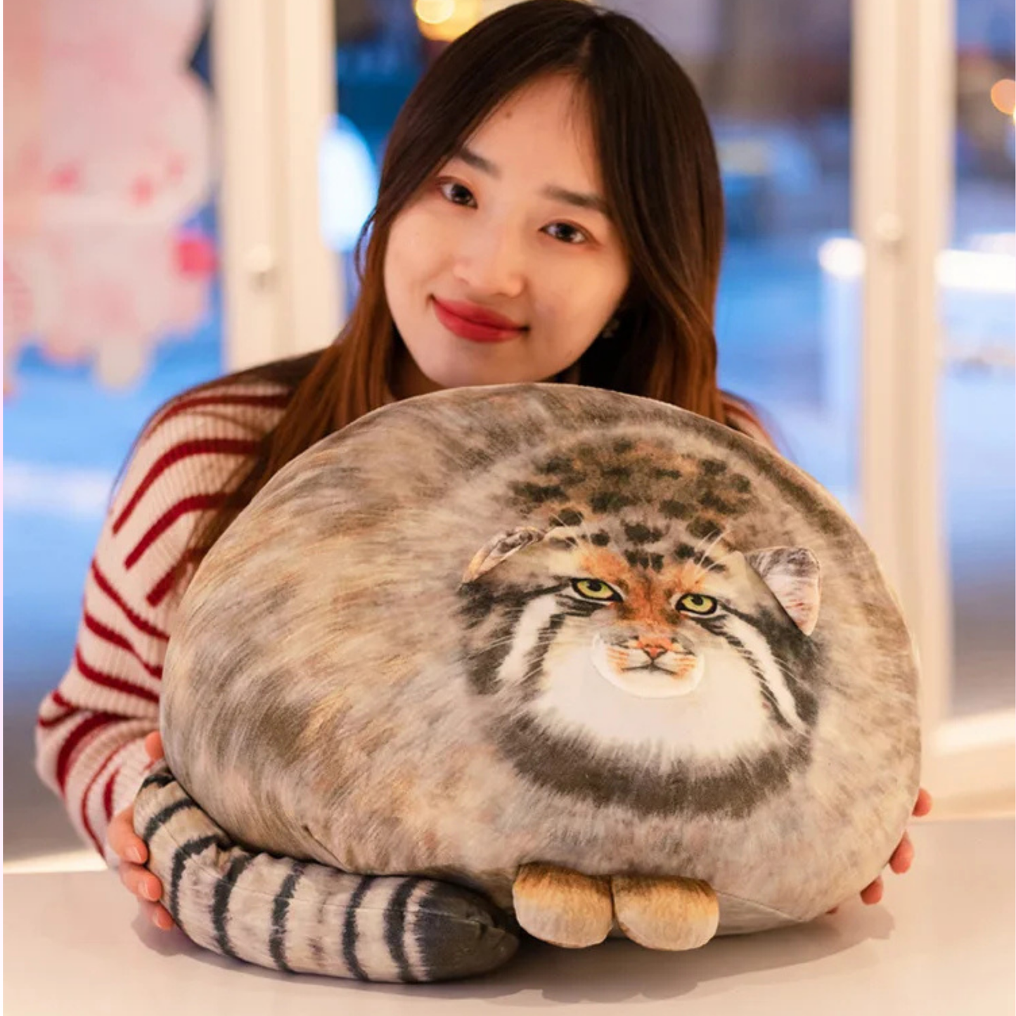 Pallas cat plush