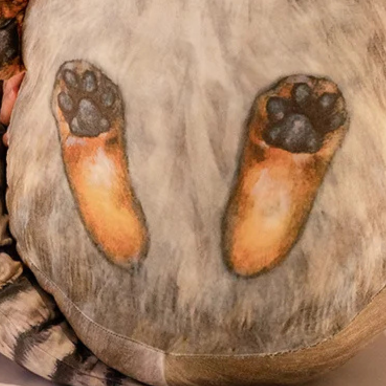 Pallas cat plush
