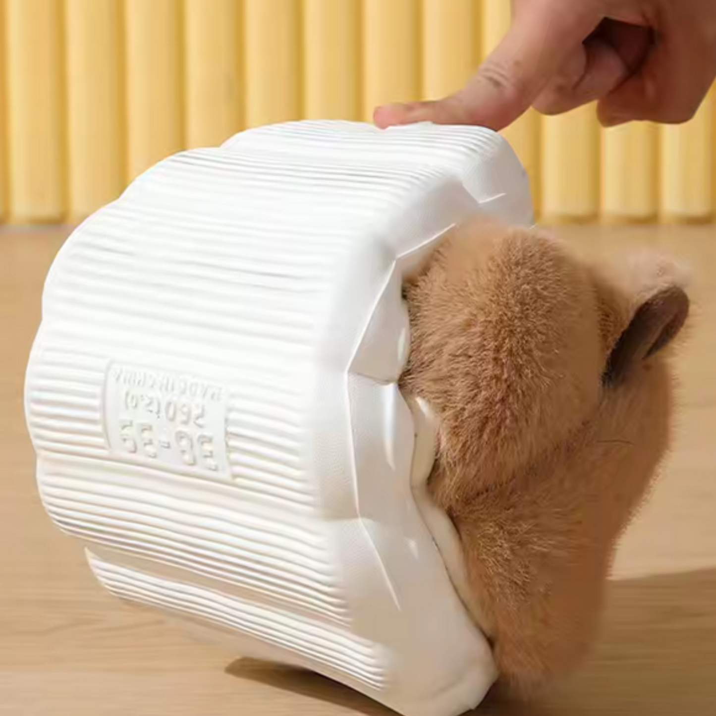 Capybara slippers