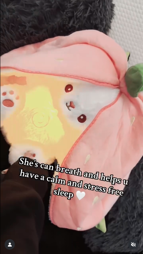 strawberry shortcake breathing plush