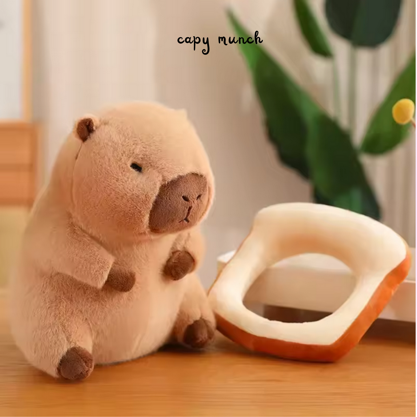 Capybara plushies